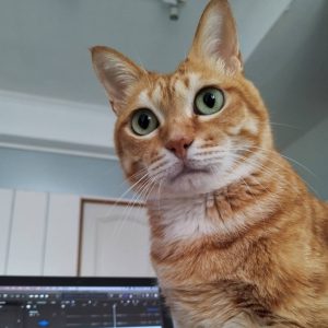 Picture of dong_sung